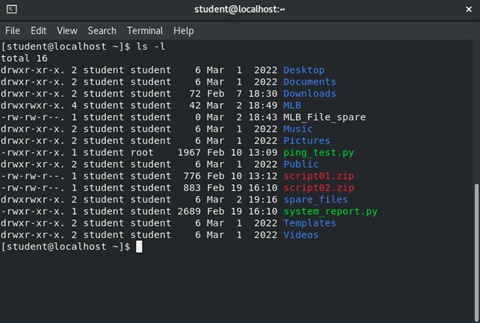 image of output of 'mkdir' command in terminal