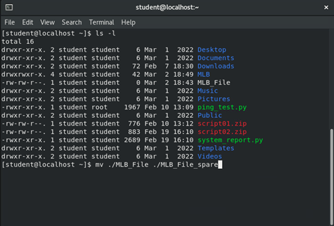 image of entering 'mv' command in terminal