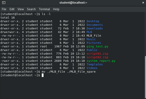 image of output of 'mv' command in terminal