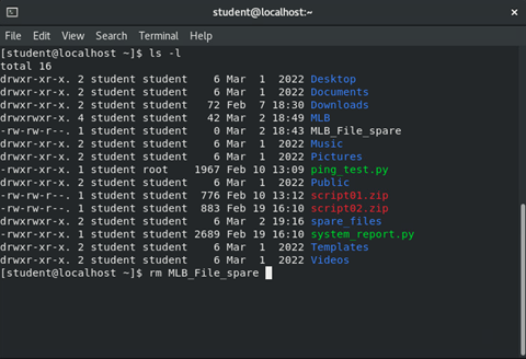 image of entering 'rm' command in terminal